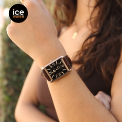 ICE Watch